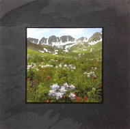 This fine art photographic print by David Clack is mounted on tile. This image has a fade and scratch resistant laminate coating. 