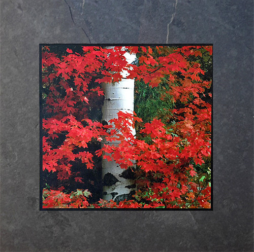 This fine art photographic print by David Clack is mounted on tile. This image has a fade and scratch resistant laminate coating.