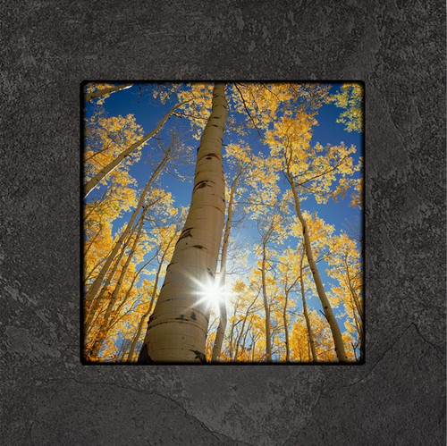 Fine art photography by David Clack mounted on tile. 