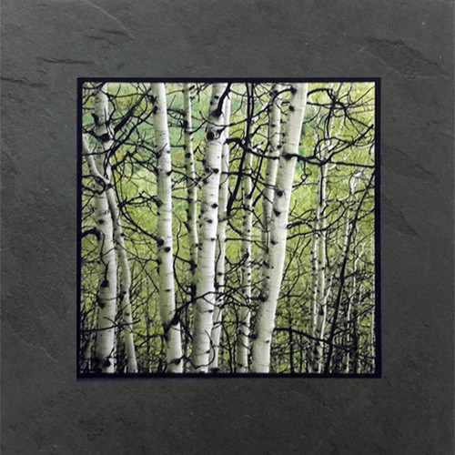 This fine art photographic print by David Clack is mounted on tile. This image has a fade and scratch resistant laminate coating. 