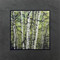 This fine art photographic print by David Clack is mounted on tile. This image has a fade and scratch resistant laminate coating. 