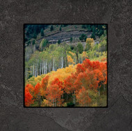 Fine art photography by David Clack mounted on tile. 