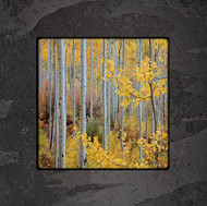 Fine art photography by David Clack mounted on tile. 