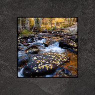 Fine art photography by David Clack mounted on tile. 
