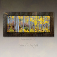 Panoramic fine art photography by David Clack mounted as a triptych.  Image is UV laminated onto three panels with a fade and scratch resistant coating. No need to find a stud to hang. Each oxidized porcelain panel is 16×24 inches with overall dimensions of 48×24 inches. This elegant presentation is ready to hang and big enough to go on a large wall in an office or over a sofa in a living room.