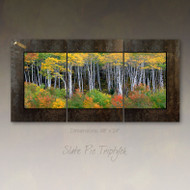 Panoramic fine art photography by David Clack mounted as a triptych.  Image is UV laminated onto three panels with a fade and scratch resistant coating. No need to find a stud to hang. Each oxidized porcelain panel is 16×24 inches with overall dimensions of 48×24 inches. This elegant presentation is ready to hang and big enough to go on a large wall in an office or over a sofa in a living room.