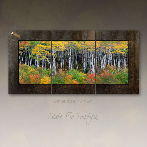 Panoramic fine art photography by David Clack mounted as a triptych.  Image is UV laminated onto three panels with a fade and scratch resistant coating. No need to find a stud to hang. Each oxidized porcelain panel is 16×24 inches with overall dimensions of 48×24 inches. This elegant presentation is ready to hang and big enough to go on a large wall in an office or over a sofa in a living room.