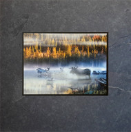 Wildlife-
David Clack works with other talented wildlife photographers to apply their images onto tile.