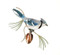 Blue Jay on Pine by Bovano of Cheshire Metal