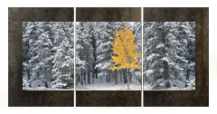 Panoramic fine art photography by David Clack mounted as a triptych.  Image is UV laminated onto three panels with a fade and scratch resistant coating. No need to find a stud to hang. Each oxidized porcelain panel is 16×24 inches with overall dimensions of 48×24 inches. This elegant presentation is ready to hang and big enough to go on a large wall in an office or over a sofa in a living room.