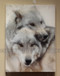 Wolf Brothers II Head on Head 12x18 by Susan Williams
Hand colored black and white photos using vintage techniques (Sepia browns and Cold Chloride Blues). The result is a pared-down minimalist palette with added depth and an atmospheric ethereal, multi-dimensional feel.