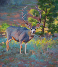 "Nice Rack" by Terri Sanchez 16x20 