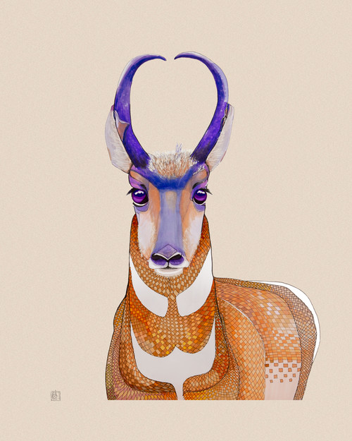 "Pronghorn Antelope" by Brooke Connor