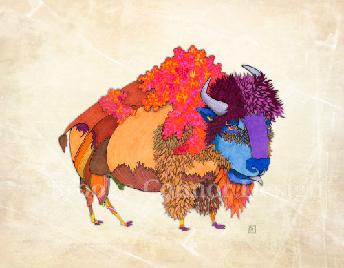 "Sloppy Joe the Buffalo" by Brooke Connor