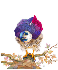 "Peregrine Falcon" by Brooke Connor