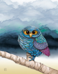 "Flammulated Owl In Cloudy Weather" by Brooke Connor