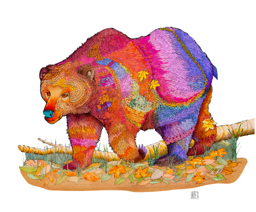 "Grizzabeara" by Brooke Connor
