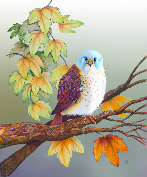 "American Kestrel" by Brooke Connor