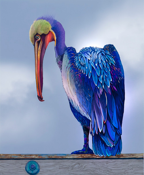 "Pelican Big Belly-Can" by Brooke Connor