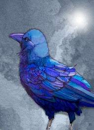 "Raymond Raven" by Brooke Connor