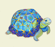 "Star Tortoise" by Brooke Connor