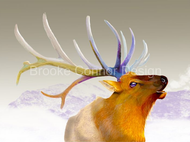 "Bull Elk Singing" by Brooke Connor