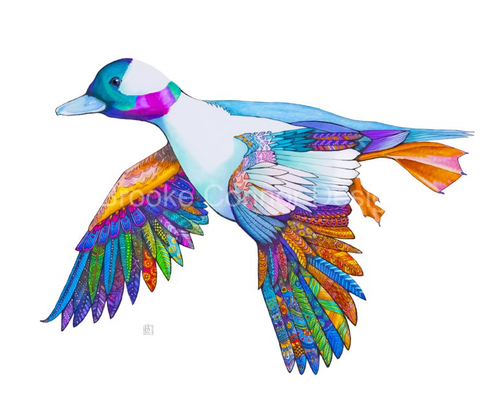 "Bufflehead" by Brooke Connor