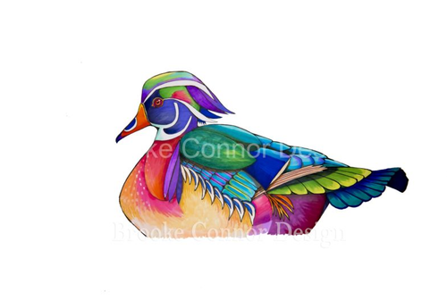 "Wood Duck Swimming" by Brooke Connor