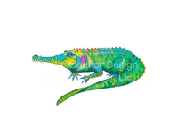 "Crocodile" by Brooke Connor