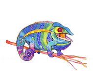 "Laughing Chameleon" by Brooke Connor