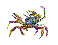 "Musical Crab" by Brooke Connor