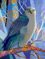 "Gyrfalcon #2" by Brooke Connor