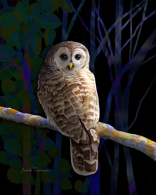 "Barred Owl" by Brooke Connor