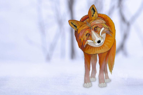 "Fox in Snow" by Brooke Connor