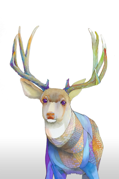 "Mule Deer Wondering" by Brooke Connor