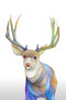 "Mule Deer Wondering" by Brooke Connor