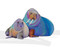 Walrus Family