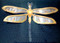 This large dragonfly wall piece by Greg Gowan is made from torch cut copper and steel. Dimensions: 18" x 13". 