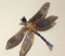 This large dragonfly wall piece by Greg Gowan is made from torch cut copper and steel. Dimensions: 18" x 13". 