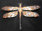 This large scrolled dragonfly wall piece by Greg Gowan is made from torch cut copper and steel. Dimensions: 18" x 13". 