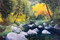 'Somewhere on Big Thompson' by Lyse Dzija 24x16. Oil on canvas, gallery wrap.