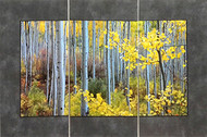 Aspen Grove 2401 Tree panel panoramic fine art photography by David Clack mounted  on tile. This image has a fade and scratch resistant laminate coating.