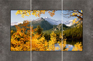 Longs Peak from Bear Lake three panel panoramic photograph by David Clack is mounted tile. This image has a fade and scratch resistant laminate coating.
