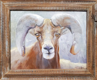"Winter Ram" by Terri Sanchez  