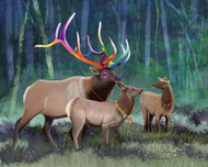 "Elk Party" by Brooke Connor
