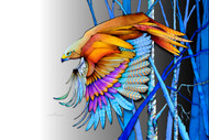 "Ferruginous Hawk" by Brooke Connor