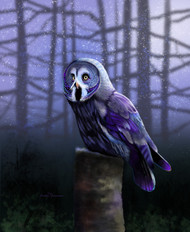 "Great Grey Owl #2" by Brooke Connor