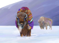 "The Buffalo" by Brooke Connor