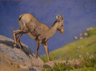 "Rock Hopper" by Mitch Caster