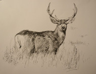 "The Hart" by Mitch Caster